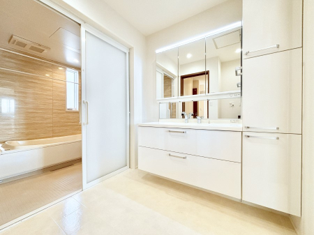 ���ʑ�E���ʏ� ���[�͂Ƌ@�\���ɗD�ꂽ���ʉ��ϑ�