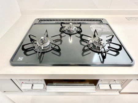 ���̑����� �O���K�X�R�����ł���������C�ɂ͂��ǂ肻��  �@