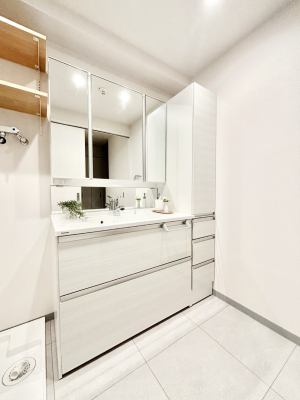 ���ʑ�E���ʏ� ���[�͂Ƌ@�\���ɗD�ꂽ���ʉ��ϑ�  �@