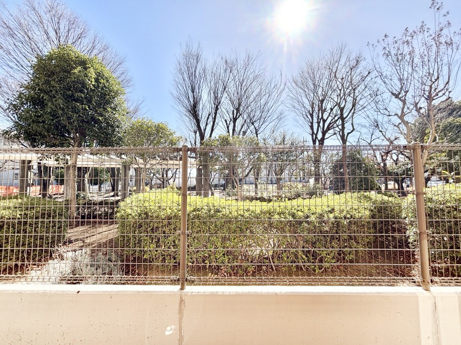 ���̑� ����