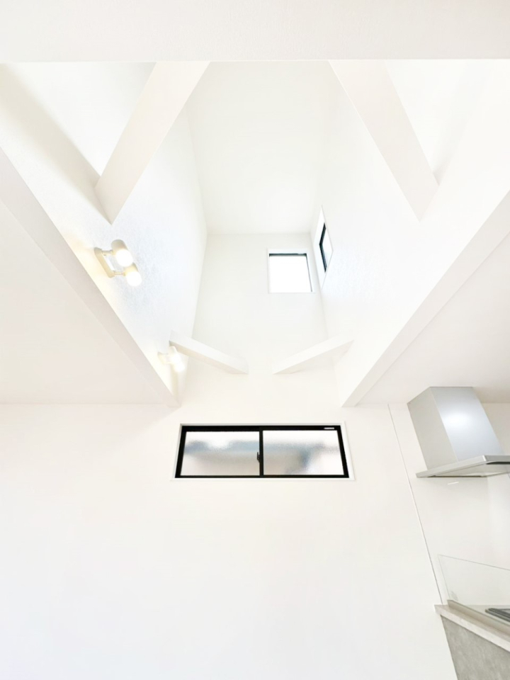 ���̑� ���邢���������������ސ��������݌v