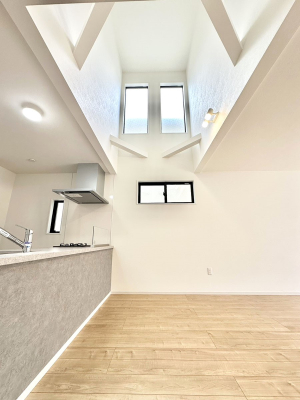 ���̑����� ���邢���������������ސ��������݌v