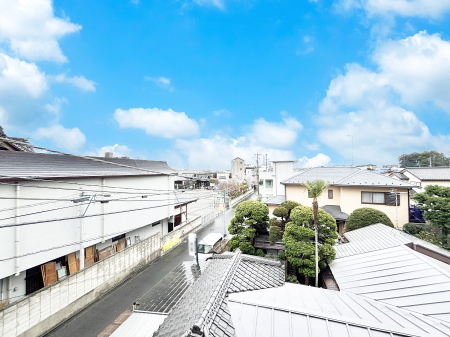 ���̑� �o���R�j�[����̒��]�ł�