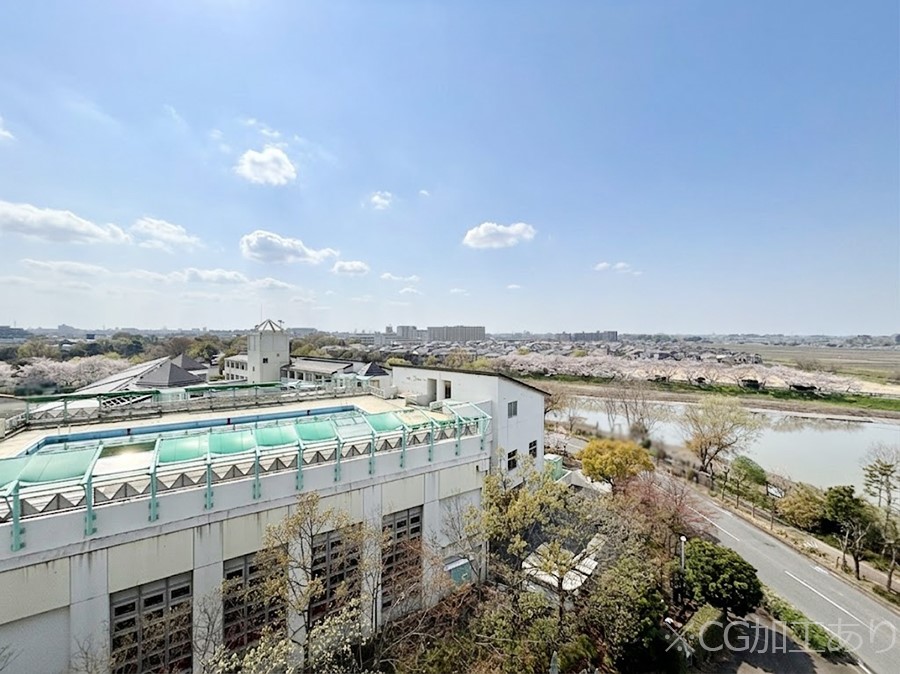 ���̑� �S�n�悢����������ꂻ���Ȓ��]�ł��B