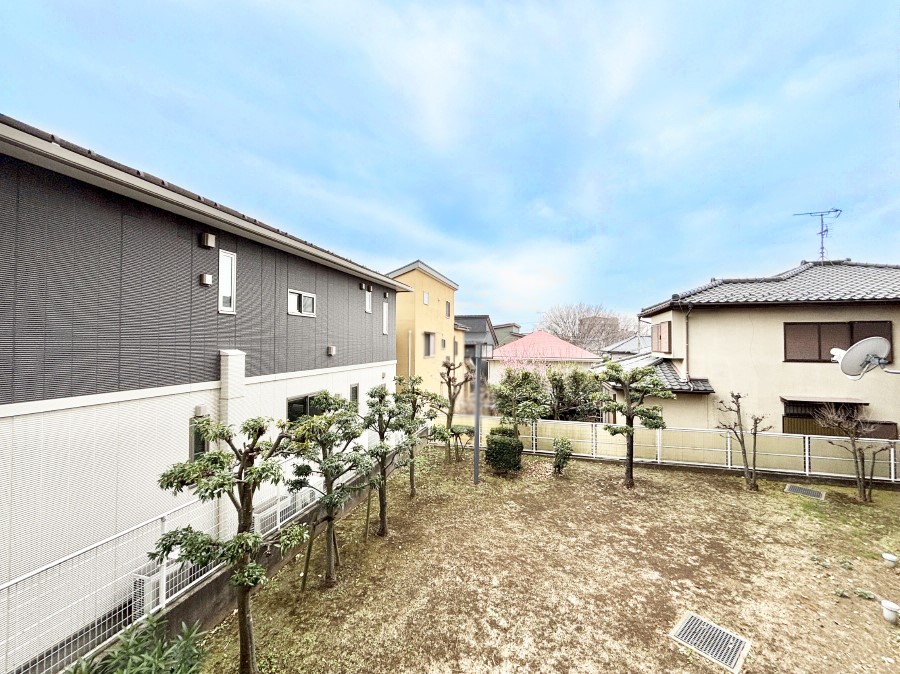 ���̑� ���z�̌b�݂�������ʂ����肠�ӂ���ԁB