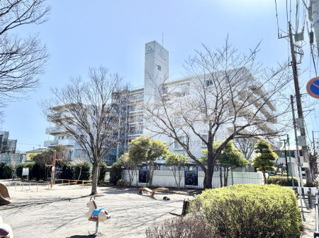 ���n�O�ώʐ^ ����z���ł��Ƒ��̏Ί���P��