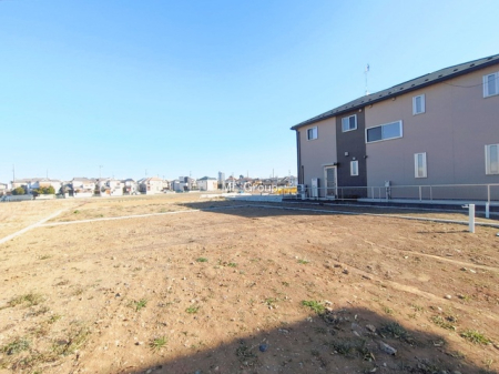 ���n�y�n�ʐ^ -