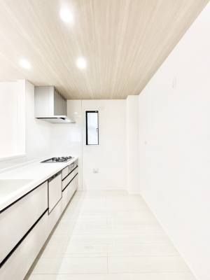 �L�b�`�� �V�X�e���L�b�`���̓V���v���ŃX�b�L�������O���̗��Ȃ��f�U�C���Ȃ̂ŉi���g�������I