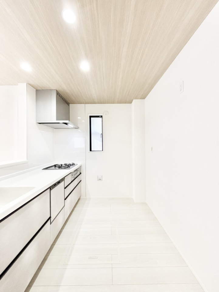 �L�b�`�� �V�X�e���L�b�`���̓V���v���ŃX�b�L�������O���̗��Ȃ��f�U�C���Ȃ̂ŉi���g�������I