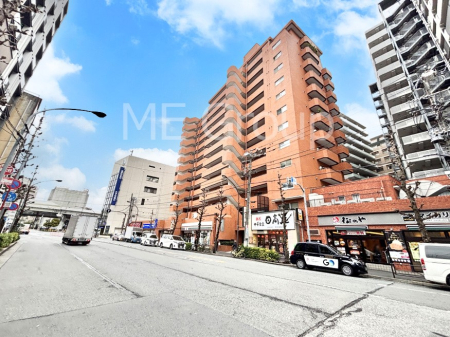 ���n�O�ώʐ^ ��������n�܂�V�����������������܂��I