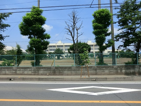 ���ӊ� ���w�Z 2200m �O�F�����O�F���w�Z