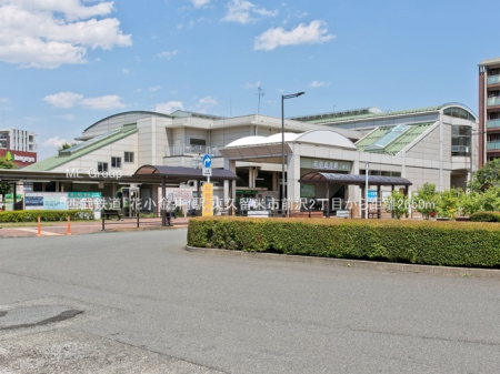 ���ӊ� �w 2650m �����S���u�ԏ�����v�w