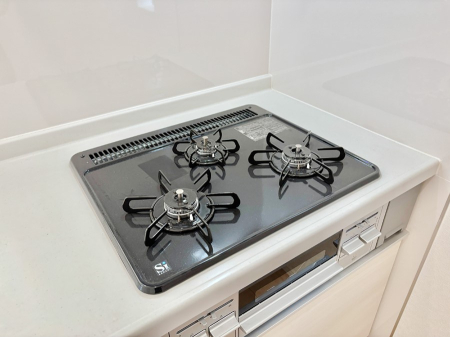 ���̑����� �O���K�X�R�����ł���������C�ɂ͂��ǂ肻��  �@