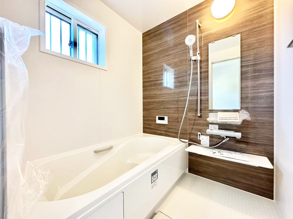 ���� �����������F�����̕ǖʁA������������芰����o�X���[���B 