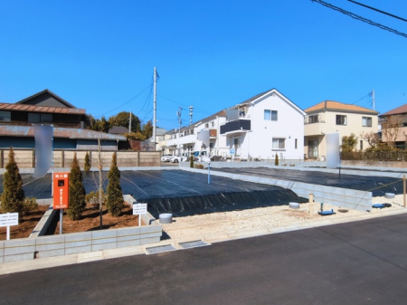 ���n�y�n�ʐ^ -