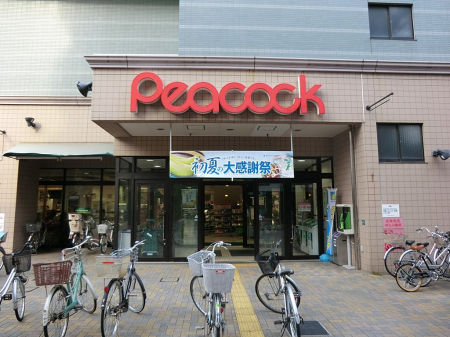 ���ӊ� �X�[�p�[ 600m �s�[�R�b�N�X�g�A �ΐ��X