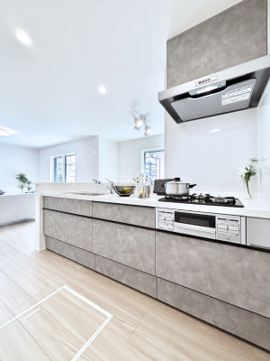 �L�b�`�� �������������I�ɁA�y�����I�V�X�e���L�b�`��  