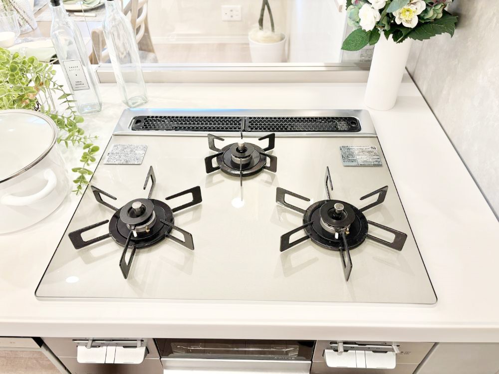 ���̑����� �O���K�X�R�����ł���������C�ɂ͂��ǂ肻��  