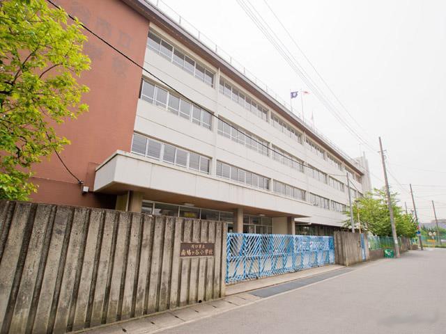 ���ӊ� ���w�Z 550m ����s���씵���J���w�Z