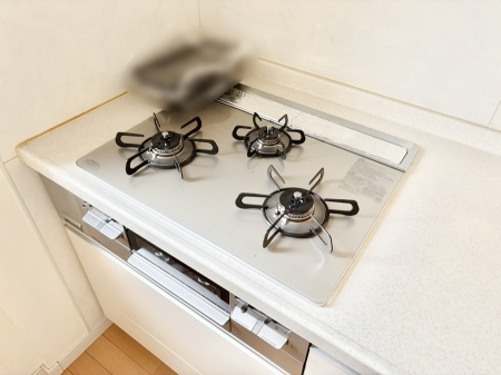 ���̑����� �O���K�X�R�����ł���������C�ɂ͂��ǂ肻��  �@