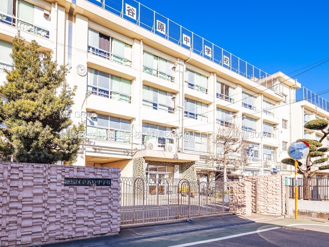 ���ӊ� ���w�Z 800m ���n�旧�J�����w�Z