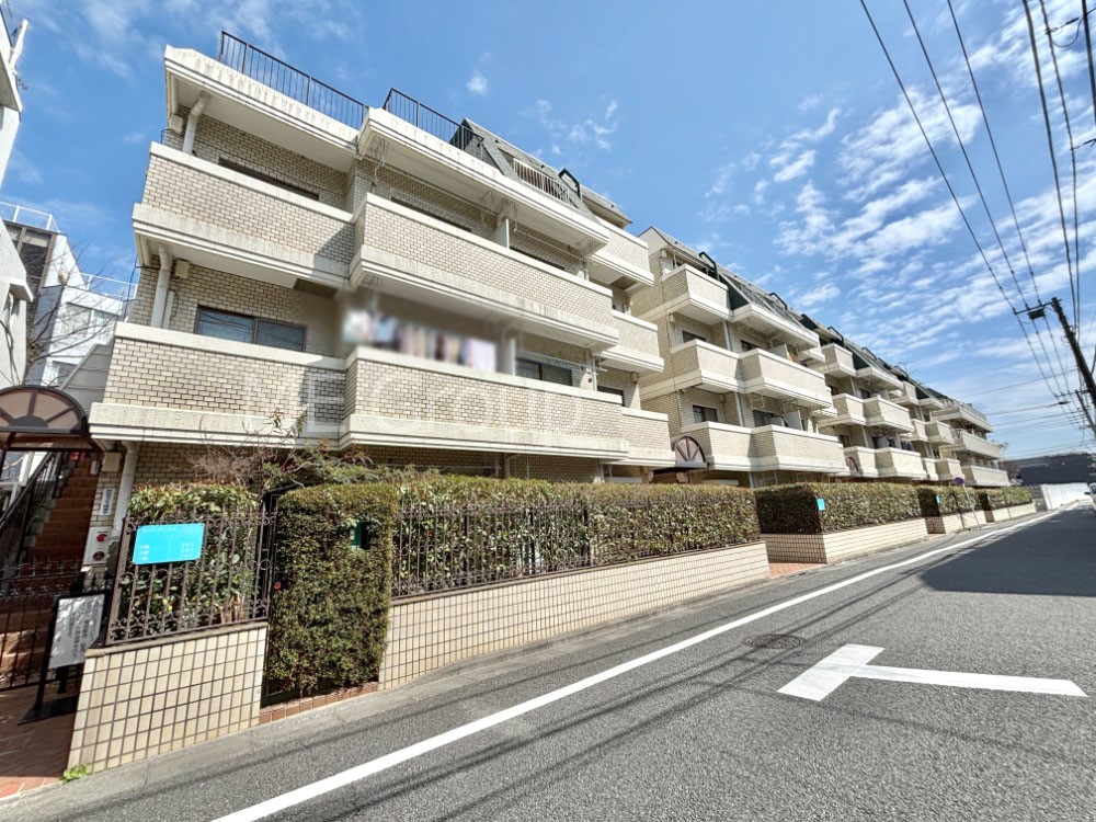 ���n�O�ώʐ^ ����z���ł��Ƒ��̏Ί���P�� 