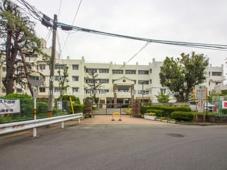 ���ӊ� ���w�Z 1500m ��z�s����쒆�w�Z