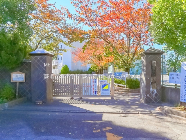 ���ӊ� ���w�Z 800m �n�s���k���w�Z