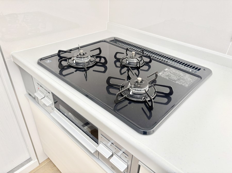 ���̑����� �O���K�X�R�����ł���������C�ɂ͂��ǂ肻��   