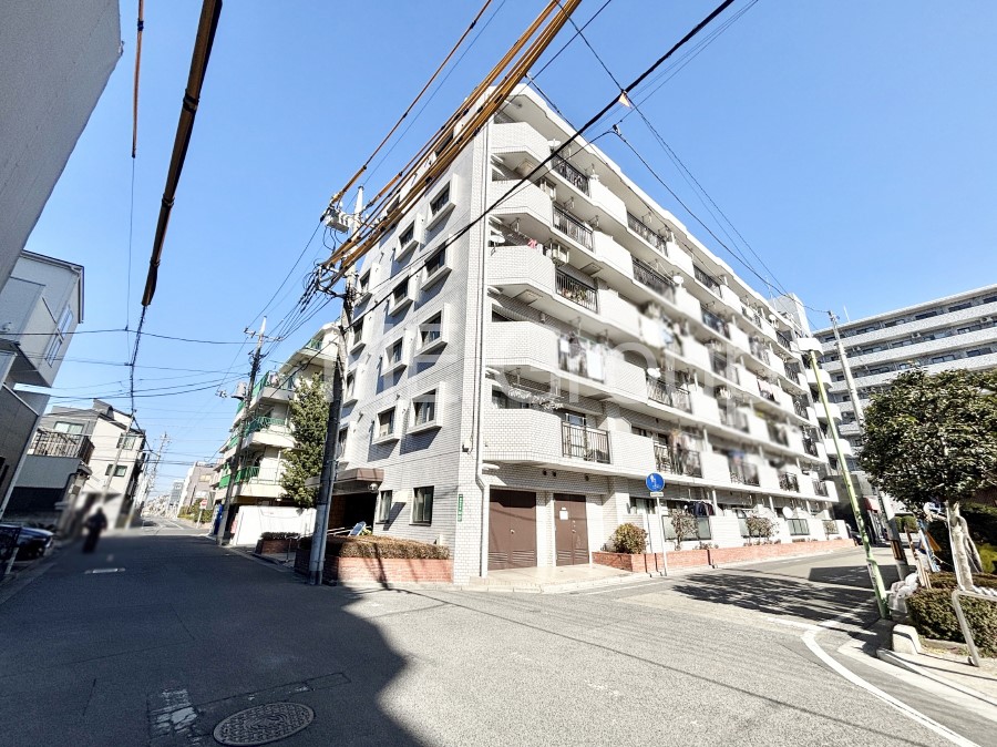 ���n�O�ώʐ^ ��������n�܂�V�����������������܂� 