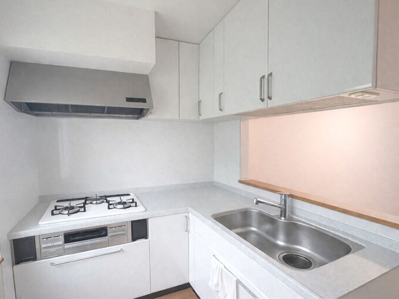 �L�b�`�� �k�^�L�b�`���͍�Ɠ������Z���čςނ̂Ŏg�����肪�ǂ��ł���