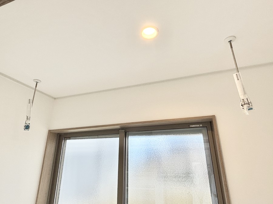 ���̑����� �����������|�[���B�~�J��ԕ��̎����ɑ劈�􂵂܂��B  