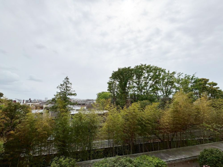 ���̑� �o���R�j�[����̒��]�ł�