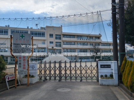 ���ӊ� ���w�Z 800m ��z�s���V�h���w�Z