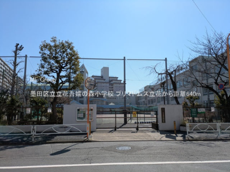 ���ӊ� ���w�Z 640m �n�c�旧���Ԍ�ڂ̐X���w�Z