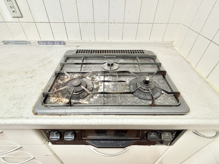 ���̑����� �O���K�X�R�����ł���������C�ɂ͂��ǂ肻��  