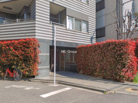 �G���g�����X -