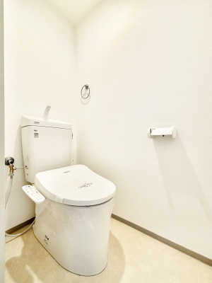 �g�C�� �g�C���͔�����Ƃ����������̂��闎���������ԂɁI