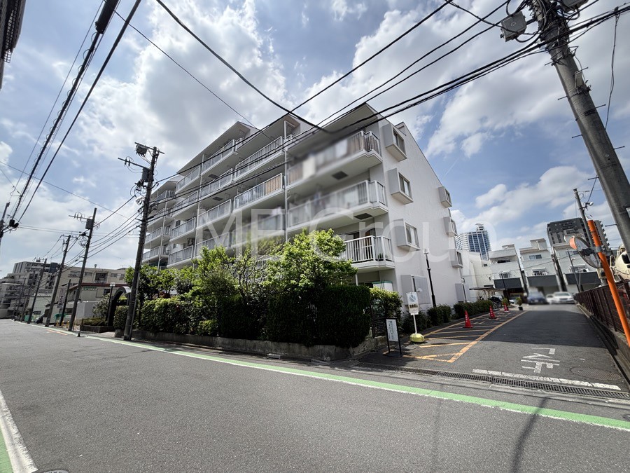 ���n�O�ώʐ^ ����z���ł��Ƒ��̏Ί���P��