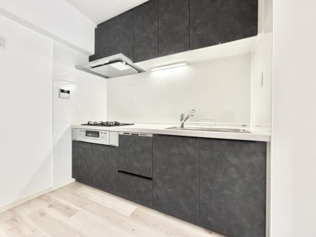 �L�b�`�� �������������I�ɁA�y�����I�V�X�e���L�b�`��  