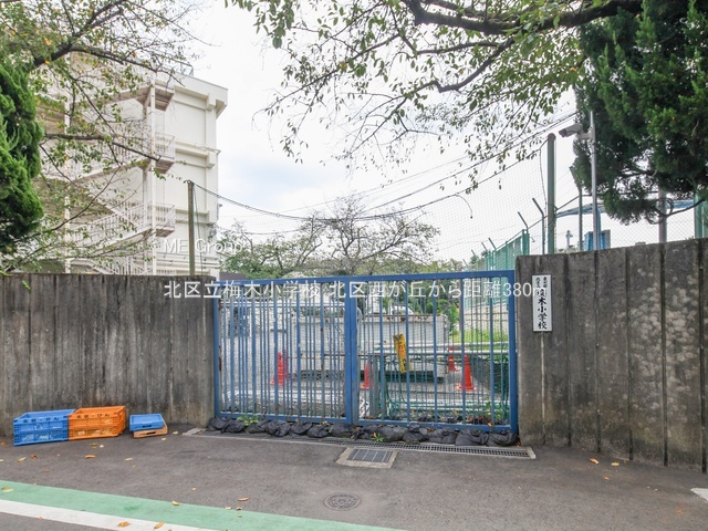 ���ӊ� ���w�Z 380m �k�旧�~�؏��w�Z