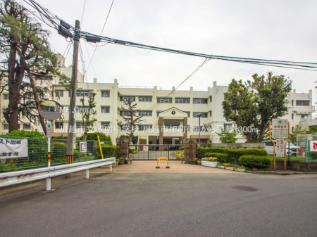 ���ӊ� ���w�Z 1300m ��z�s����쒆�w�Z