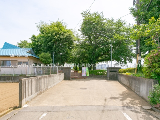 ���ӊ� ���w�Z 1000m �ӂ��ݖ�s���O�p���w�Z