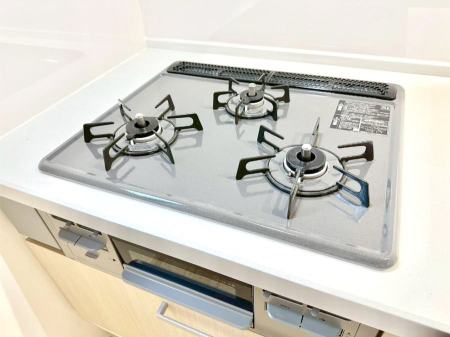 ���̑����� �K�X�R�����͂r���Z���T�[���ځB�Η͒��߂�ł��t���E�����Y����h���ł���܂��B