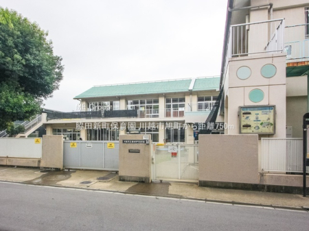 ���ӊ� �c�t���E�ۈ牀 750m �e�c�V���ۈ牀