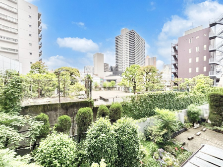 ���̑� ���z�̌b�݂�������ʂ����肠�ӂ���ԁB