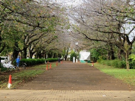 ���ӊ� ���� 1383m ������������