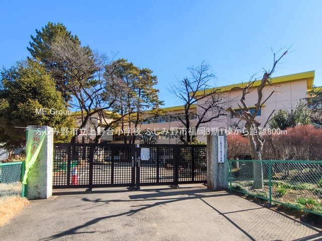 ���ӊ� ���w�Z 800m �ӂ��ݖ�s�����䏬�w�Z