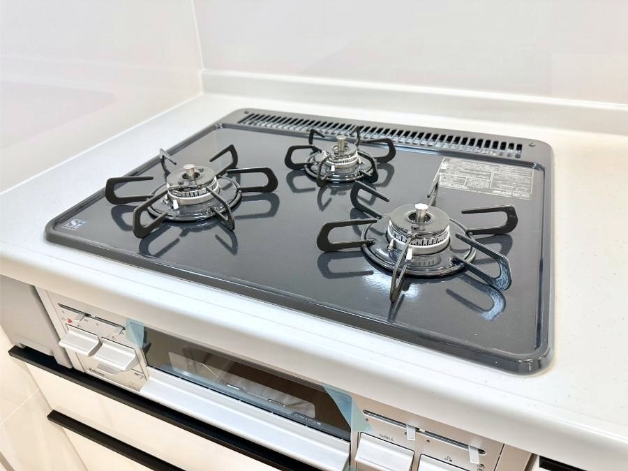 ���̑����� �K�X�R�����͂r���Z���T�[���ځB�Η͒��߂�ł��t���E�����Y����h���ł���܂��B