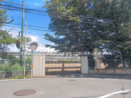 ���ӊ� ���w�Z 1900m ��z�s����쒆�w�Z